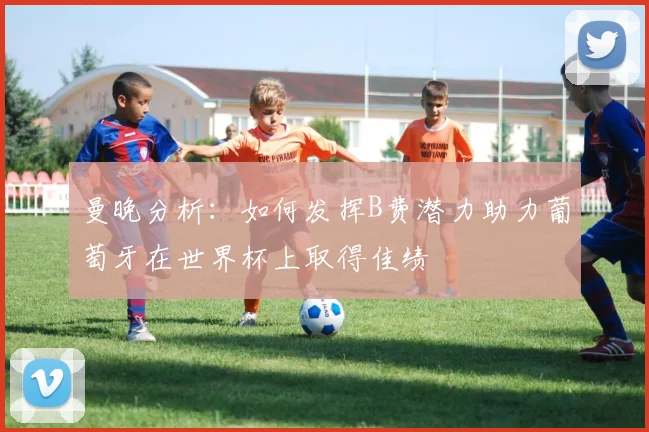 曼晚分析：如何发挥B费潜力助力葡萄牙在世界杯上取得佳绩